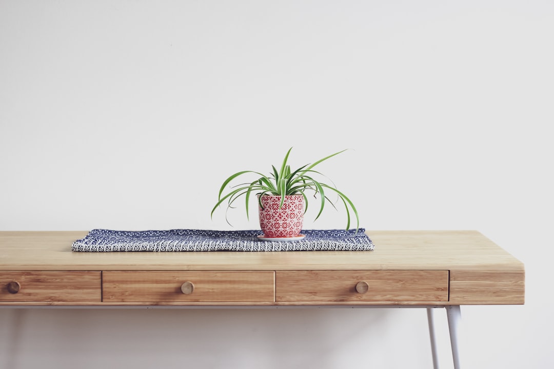  plant on top of beige wooden desk with 2 drawer chest table