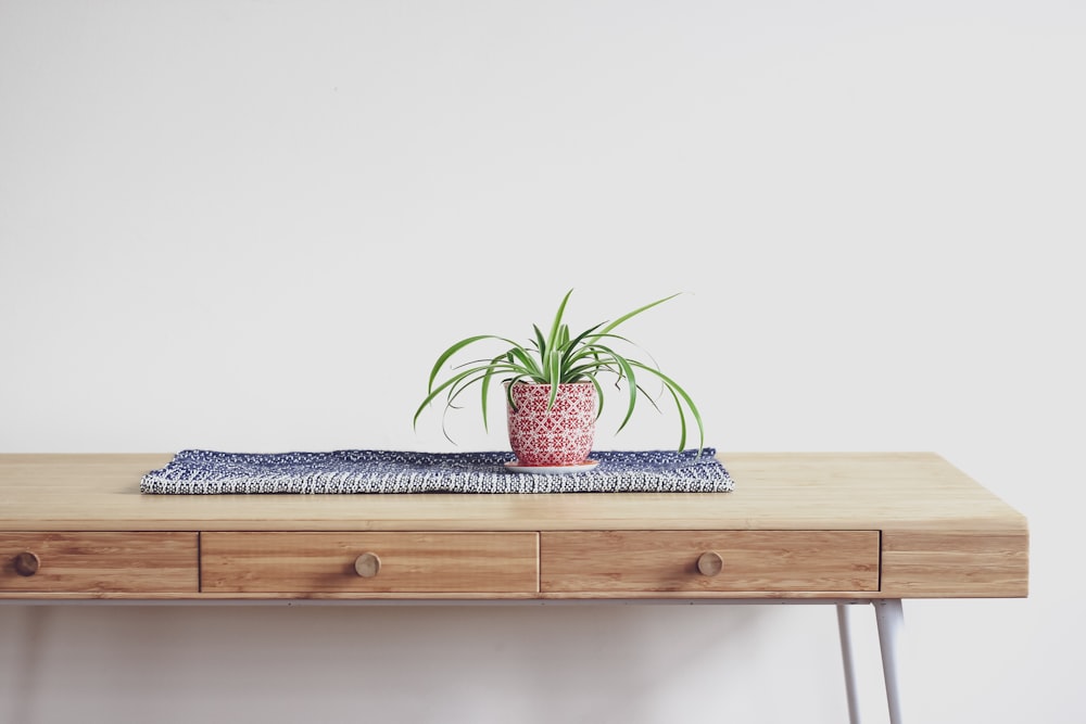 plant on top of beige wooden desk with 2-drawer chest