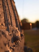 Before and after shots of a muddy tractor cleaned to shine on a sunny day.