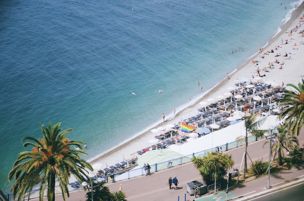 birds eye view photo of shore