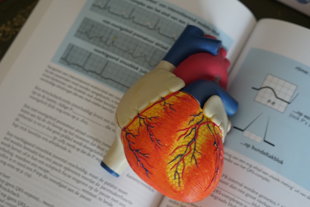 Model of human heart and textbook describing low blood pressure in the elderly