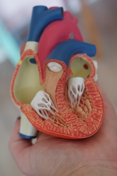 Dietary Interventions for Heart Failure: What You Need to Know