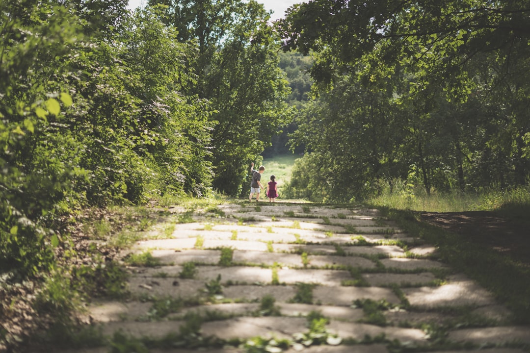 travelers stories about Nature reserve in Anastasie FÄƒtu Botanic Garden, Romania