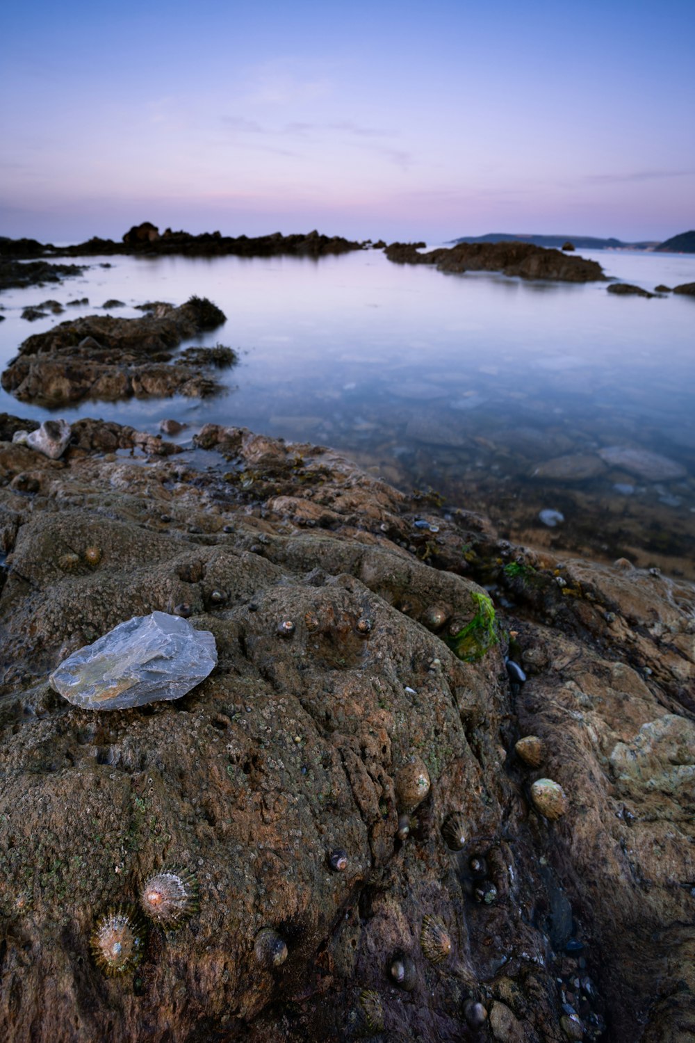 Foto de rocas cerca del cuerpo de agua