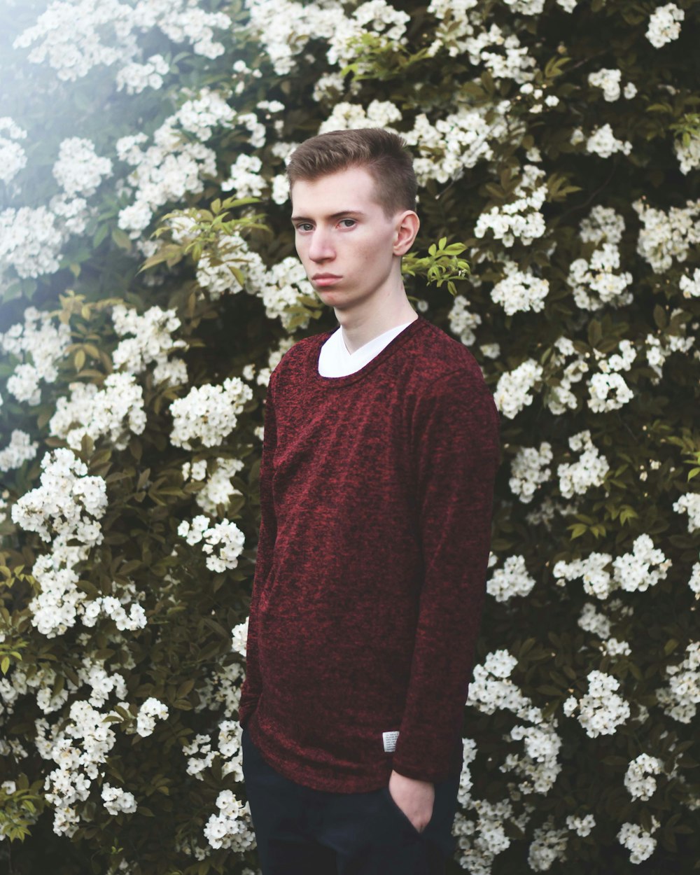 man standing against white petaled flower bed