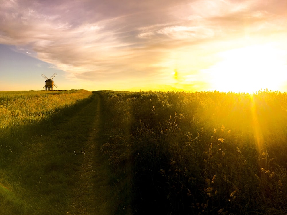 Foto da silhueta do campo de grama perto do moinho de vento durante a hora dourada