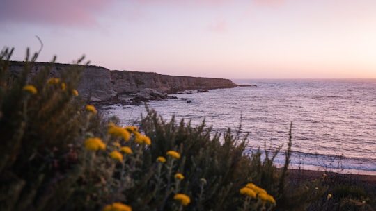 Montana De Oro State Park things to do in Morro Bay