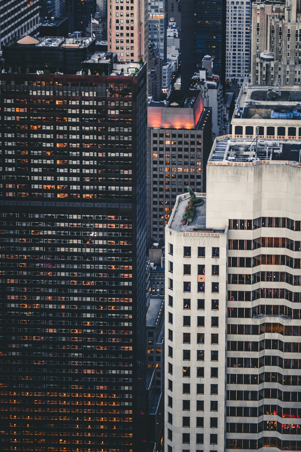 aerial photography of buildings