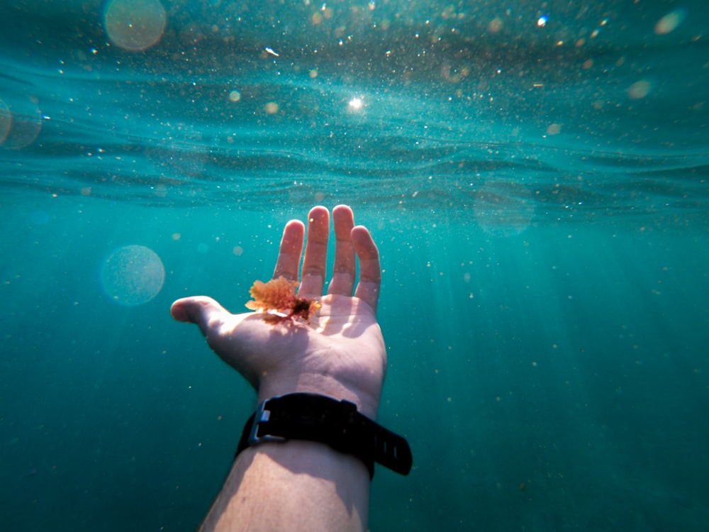 person with flower on hand underwater art