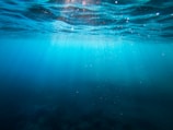 clear blue body of water