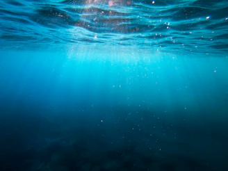 clear blue body of water