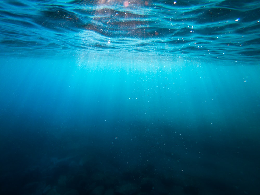 clear blue body of water