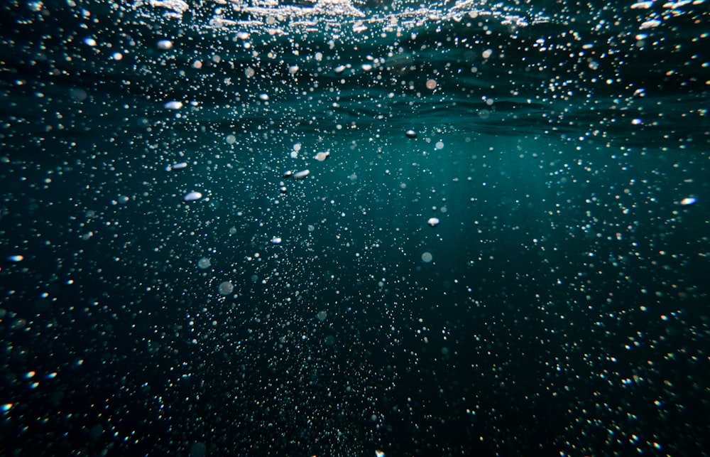 underwater background 20 best free background underwater background 20 best free background
