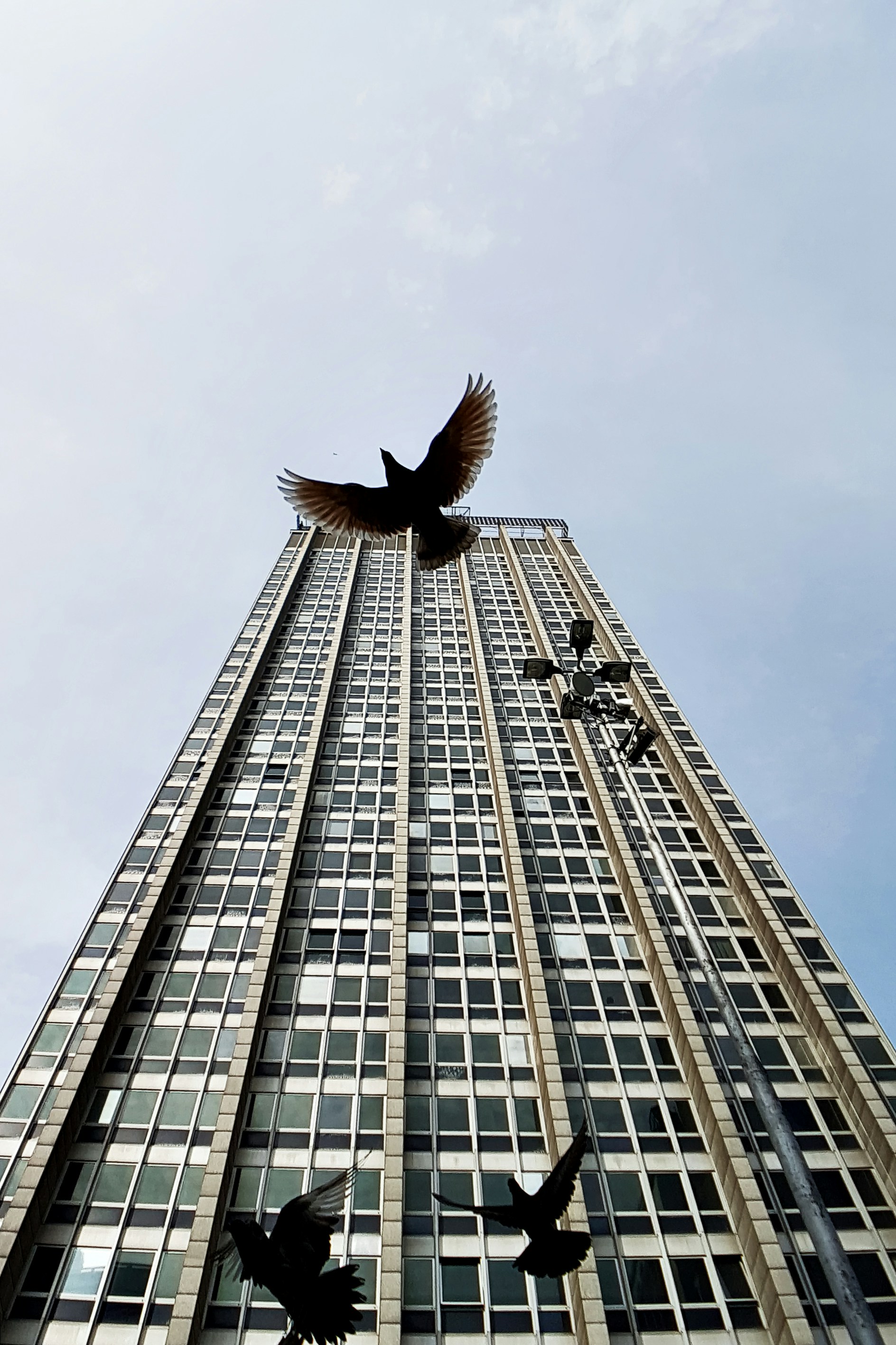 Птичка ул кирова 2 57 фото Птичка (Челябинск, ул. Труда, 67) снять Основной зал до 20 человек: Цены—Отзывы—