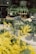 Various potted plants and flowers are neatly arranged on display, including green leafy plants, white roses, and bright yellow blossoms. Blackboard signs with handwritten prices are placed amongst the pots. The setup appears to be outdoors or in a garden shop.