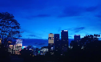 An elegant city skyline at dusk symbolizing real estate investment.