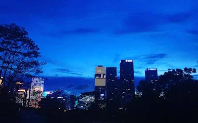 An elegant city skyline at dusk symbolizing real estate investment.