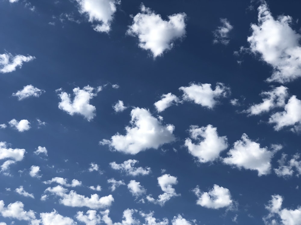 적운 구름의 타임랩스 사진