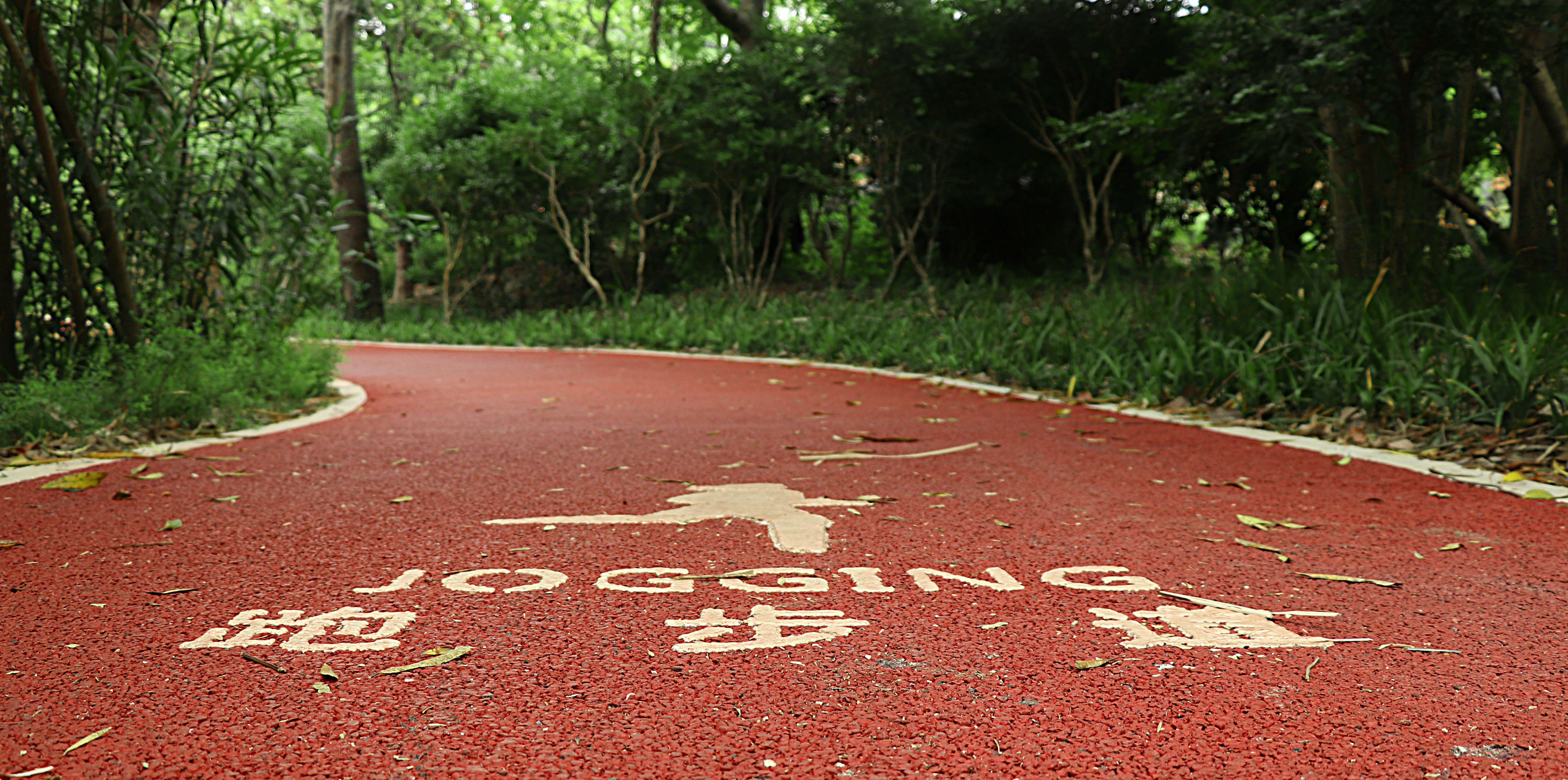 Walking: A Simple Physical Activity for Stress Relief