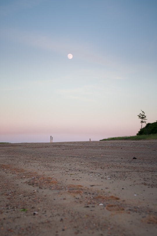landscape photo of barren lands in Chatham United States