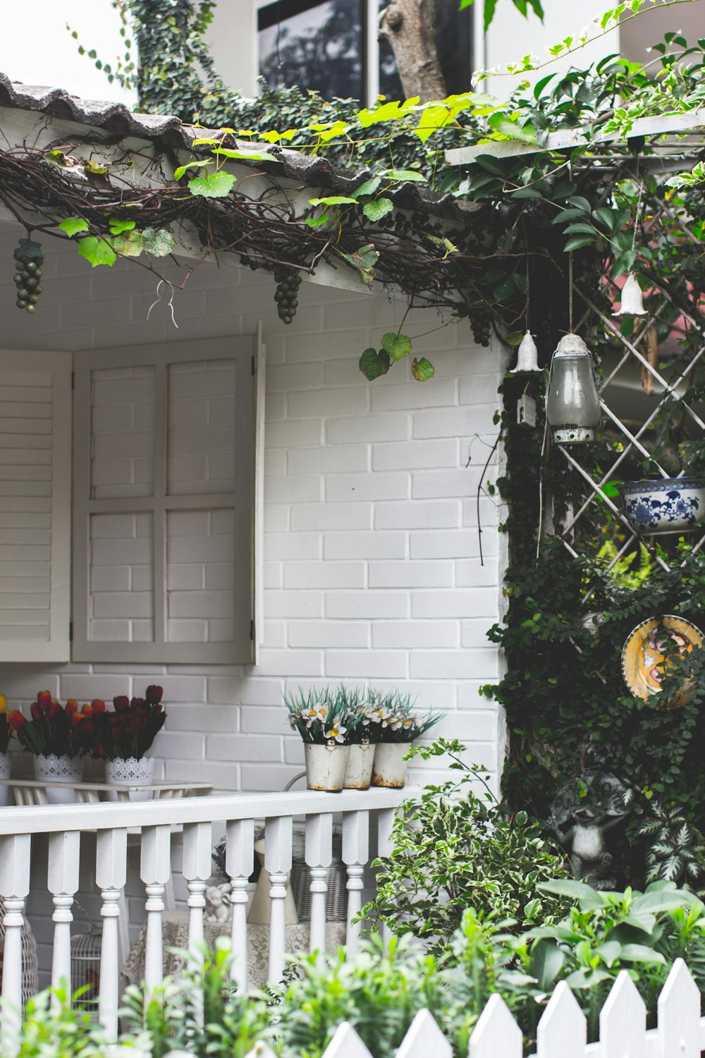 garden beside house