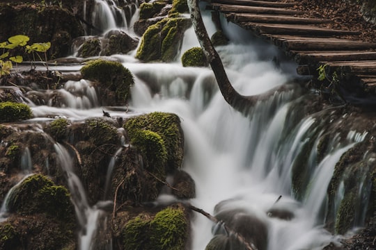 green leaf plants and waterfalls during daytime in Plitvice Lakes National Park Croatia