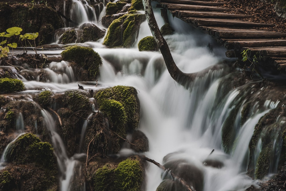 green leaf plants and waterfalls during daytime