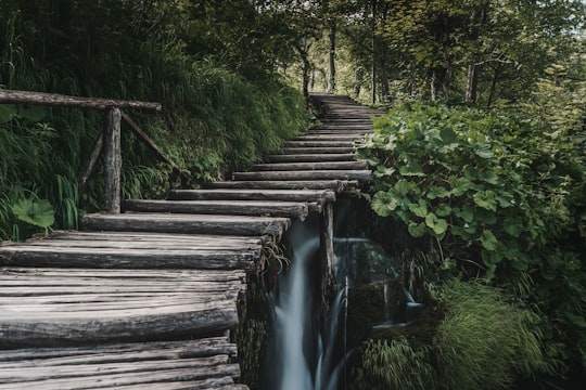 brown stair near waterfalls in Plitvice Lakes National Park Croatia
