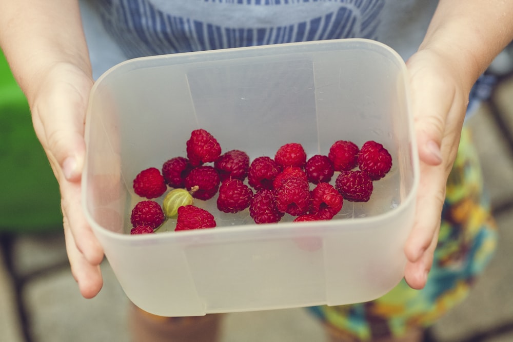 person showing cherries on clear plastic box