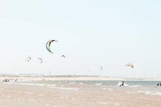 Kite surfers are enjoying a sunny day on the ocean, with several colorful kites flying against a clear sky. The beach is lined with dunes in the distance, and gentle waves roll onto the shore. People can be seen both on the water, navigating their boards, and along the shoreline, possibly socializing or preparing to enter the water.