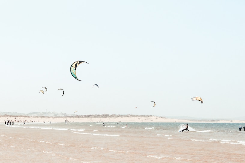 Kite surfers are enjoying a sunny day on the ocean, with several colorful kites flying against a clear sky. The beach is lined with dunes in the distance, and gentle waves roll onto the shore. People can be seen both on the water, navigating their boards, and along the shoreline, possibly socializing or preparing to enter the water.