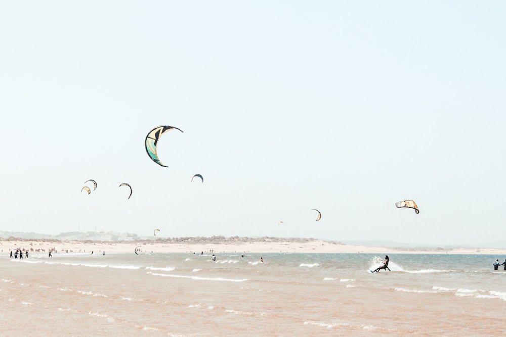 Persona che fa surf con aliante durante il giorno