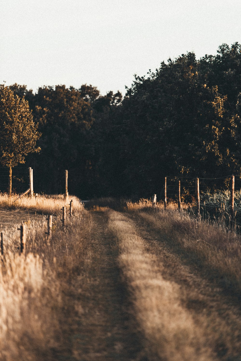 view of pathway