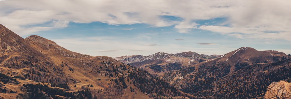 trees on top of the mountain