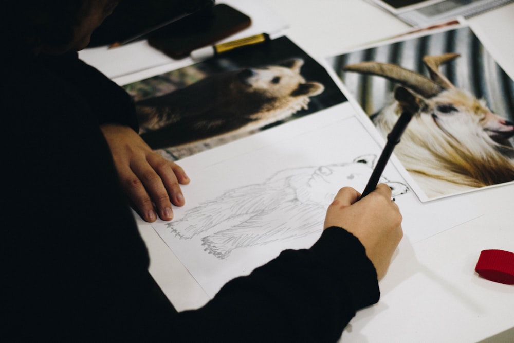 person drawing brown bear on paper