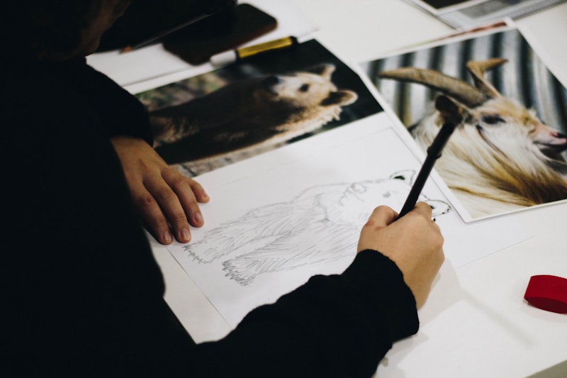 Dessinateur-illustrateur / Dessinatrice-illustratrice