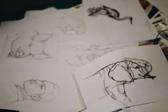 A collection of sketch papers featuring various drawings. The visible sketches include an animal with large eyes, a bird in mid-flight, and a human profile. The illustrations seem to be done in pencil and ink, capturing different subjects in a detailed artistic style.