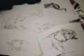 A collection of sketch papers featuring various drawings. The visible sketches include an animal with large eyes, a bird in mid-flight, and a human profile. The illustrations seem to be done in pencil and ink, capturing different subjects in a detailed artistic style.