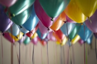 Close-up of colorful balloons twisted into playful shapes for a festive event.