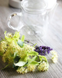 Elegant jasmine tea blossoms floating atop a clear glass teapot