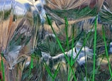 Reflective foil-like materials wrapping around and creating uneven surfaces with green stick-like elements protruding throughout.