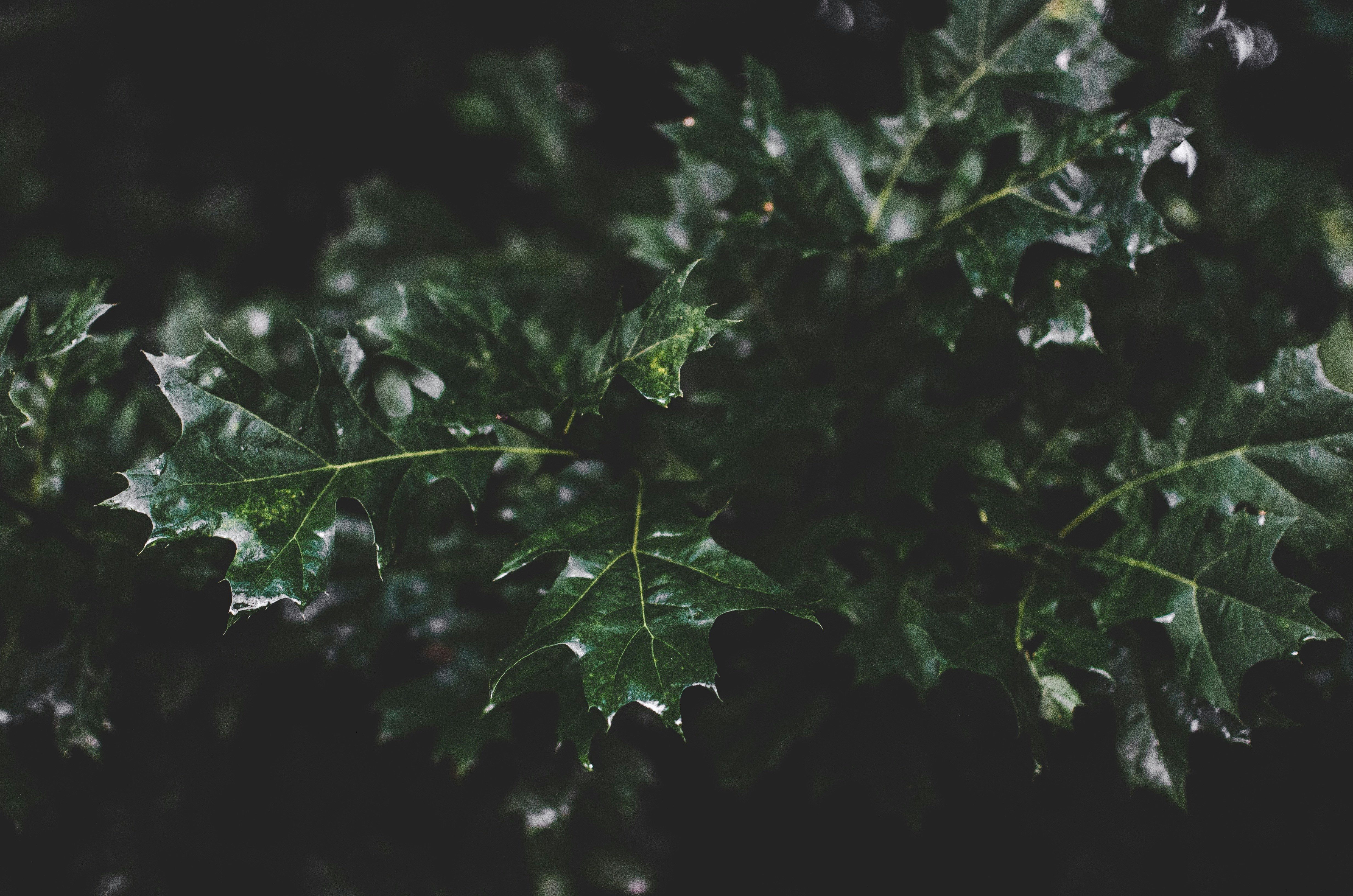 photo-1530107572954-d3b6fbd4c224?ixlib=rb-1.2.1&ixid=eyJhcHBfaWQiOjEyMDd9&auto=format&fit=crop&w=1510&q=80