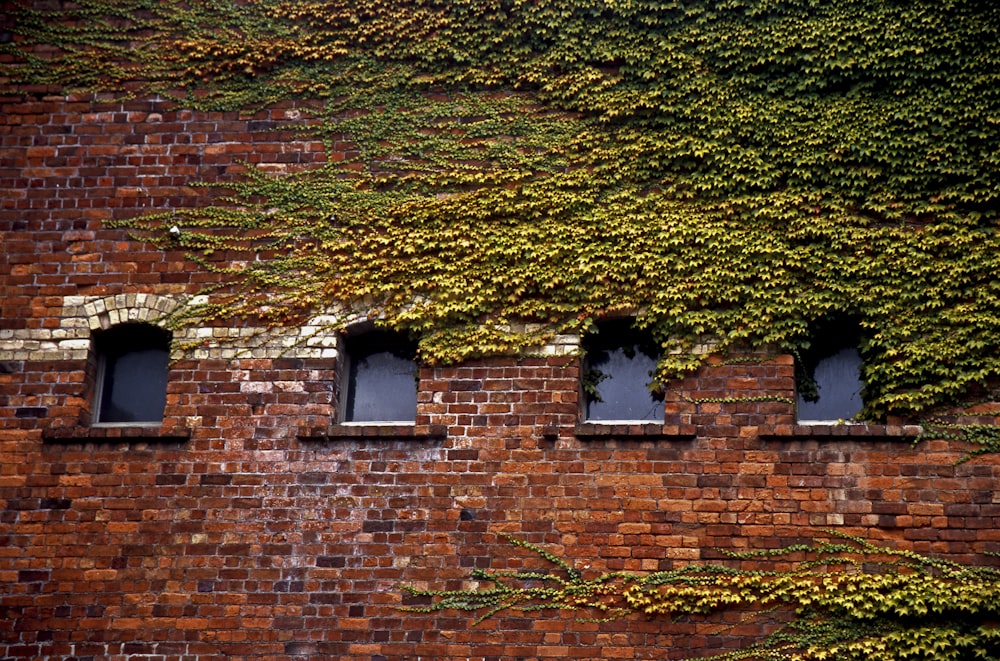 brown brick wall