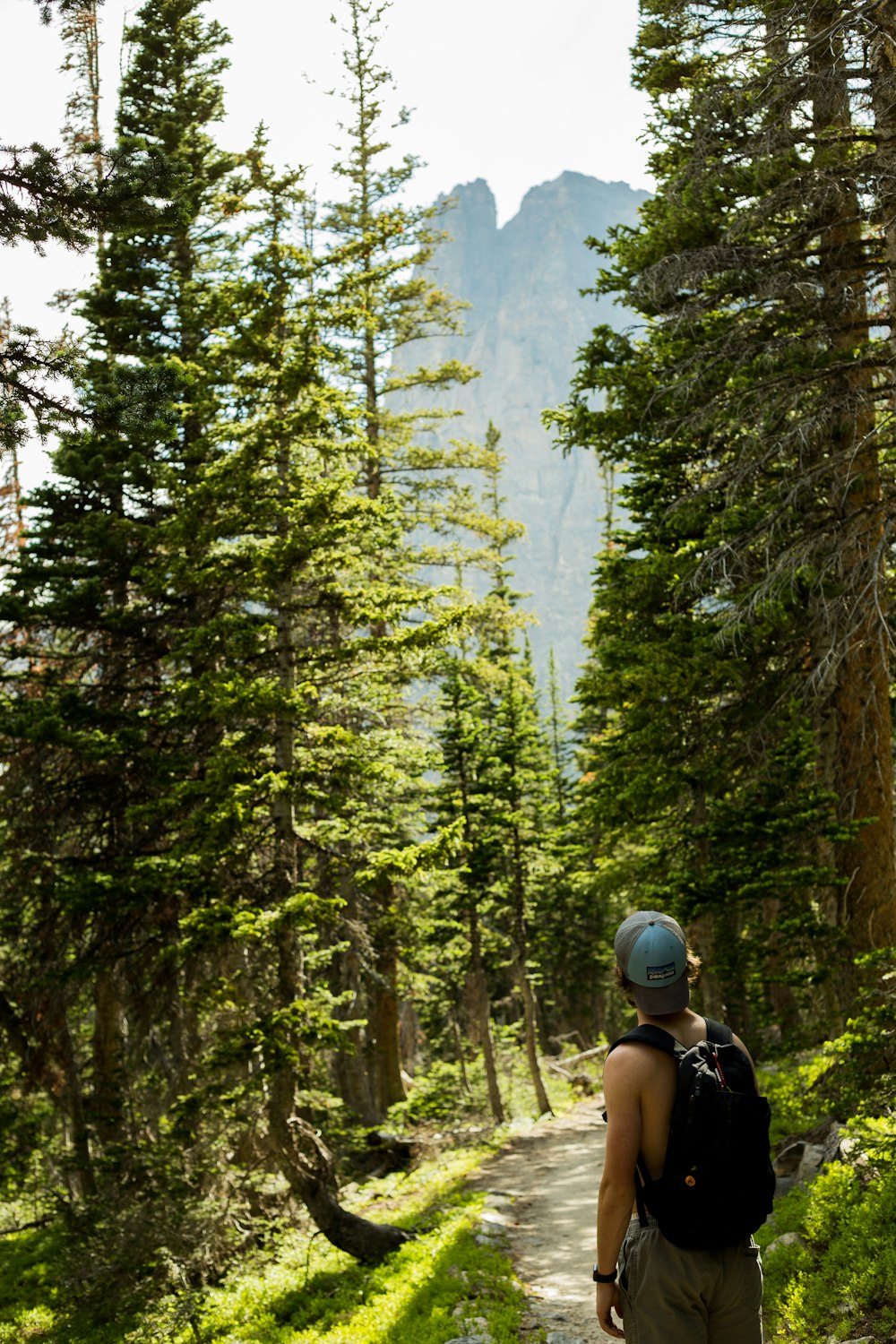 man standing on forest looking at the sky