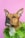A brown and white dog is wearing a bright green fur collar against a solid pink background. The dog has an alert expression with ears perked up, looking off into the distance.