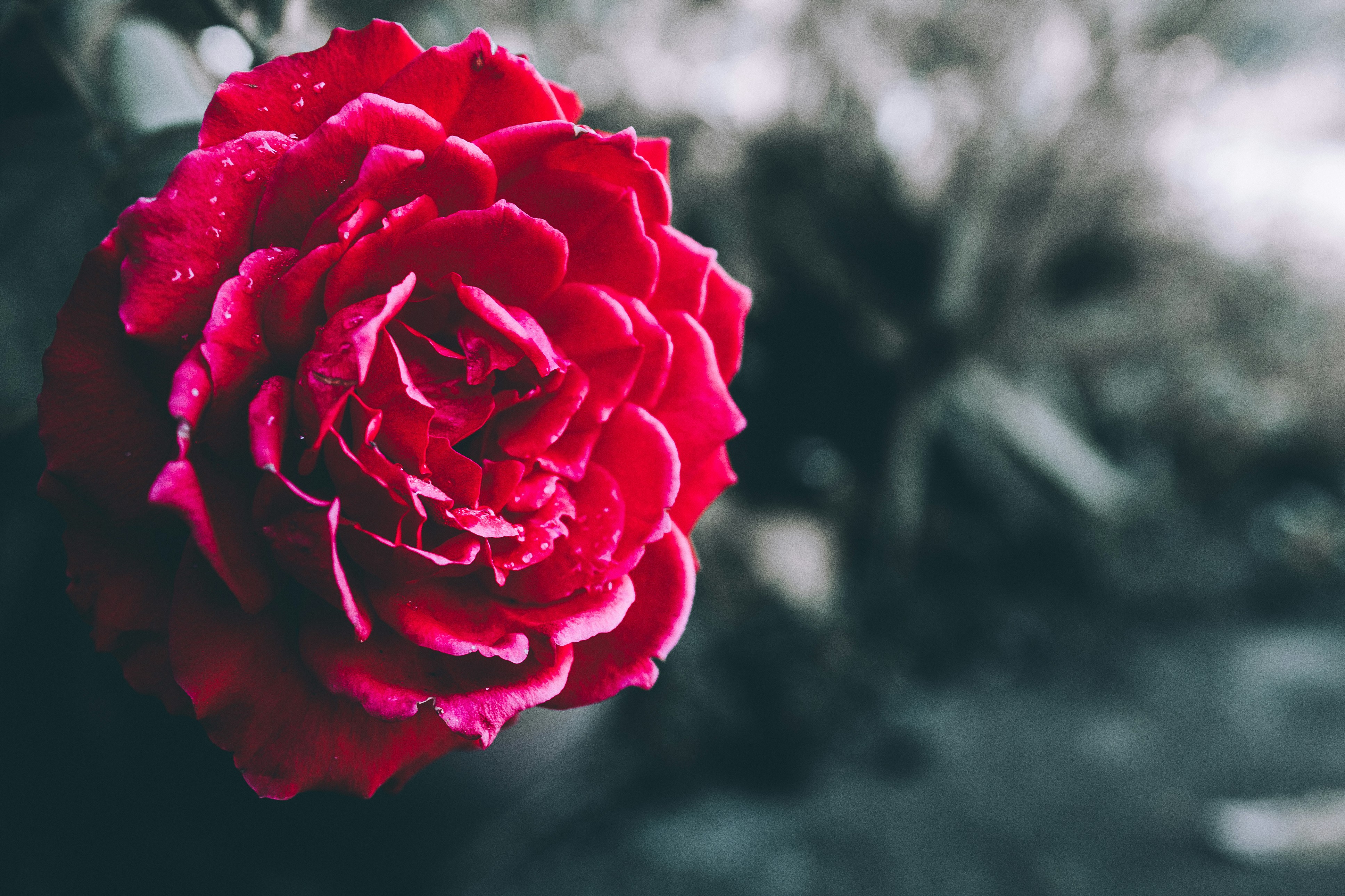 계약서 검토 시 주의할 점 총정리