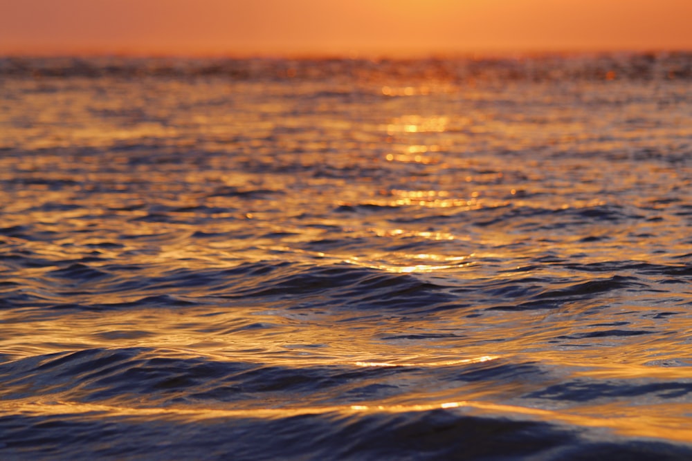 body of water during golden hour