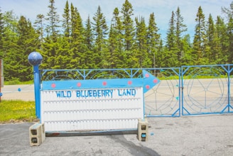 A blue and white sign with the words 'Wild Blueberry Land' stands in front of a decorative blue metal fence. The background features a row of tall green pine trees under a partly cloudy sky. The sign is held upright by concrete blocks and features some decorative blue spheres and pink details.