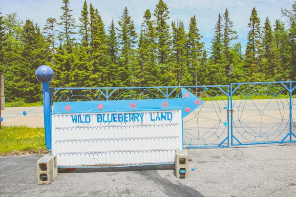 A blue and white sign with the words 'Wild Blueberry Land' stands in front of a decorative blue metal fence. The background features a row of tall green pine trees under a partly cloudy sky. The sign is held upright by concrete blocks and features some decorative blue spheres and pink details.
