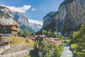 houses near valley with trees